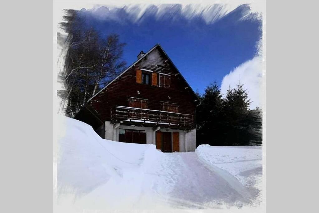 Authentique Chalet Vue Sur Le Lac Et Les Pistes Besse-et-Saint-Anastaise Zewnętrze zdjęcie